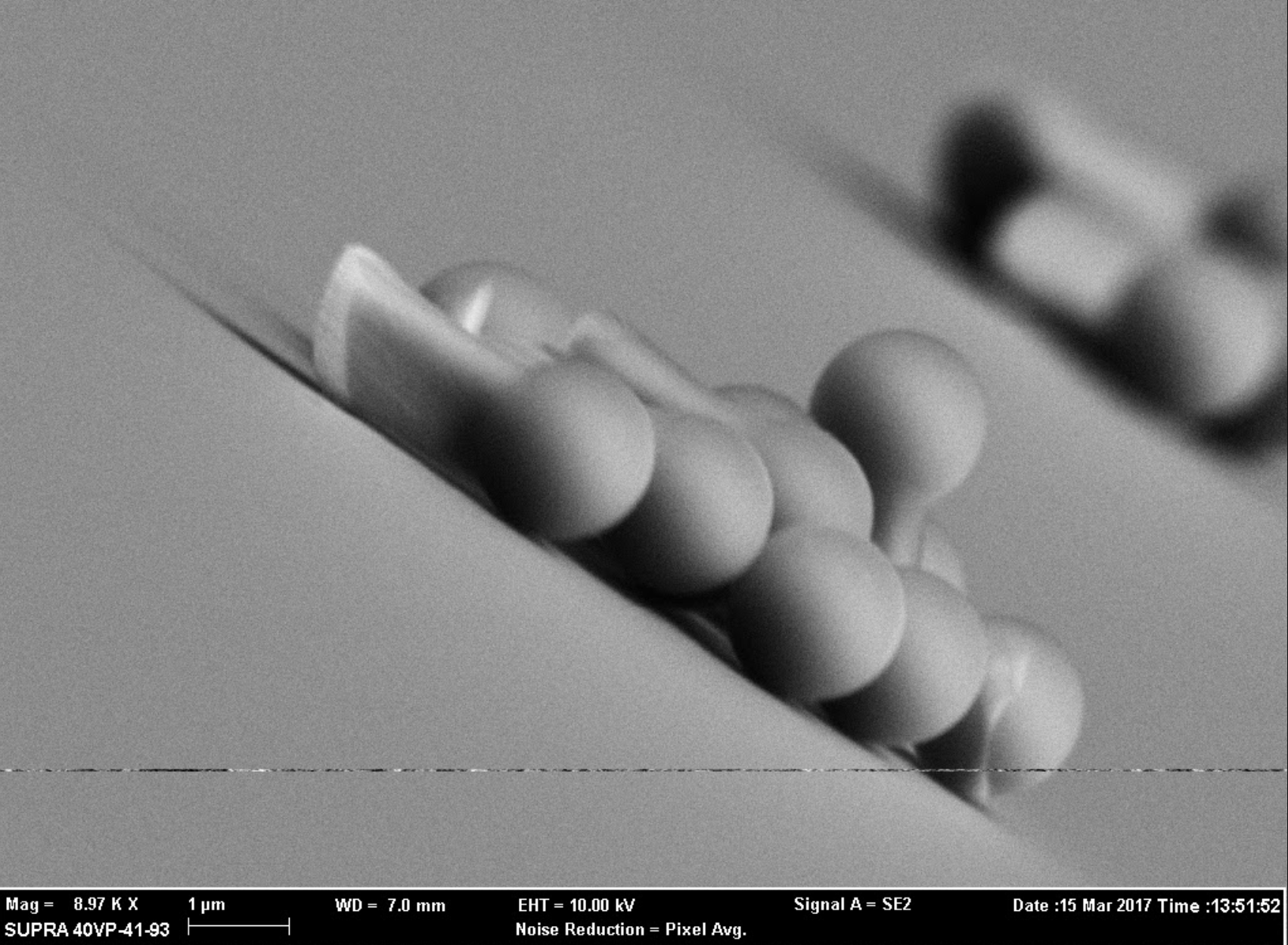 a SEM picture of microparticles